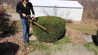 Trimming Shrubs ► How To Quote Hedge Trimming