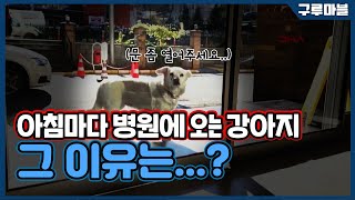 [구루마블] 아침마다 병원에 오는 강아지, 그 이유는...? / YTN