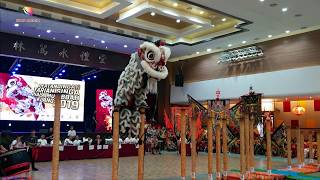 Acrobatic lion dance by Kuantan Builder Assoc -Klang Hokkein Society lion dance competition 15.12.19