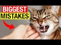 TOP 20 Common Mistakes Every Cat Owner Makes