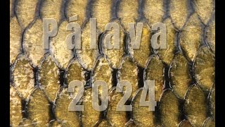 Pálava 2024, Lov kaprů, zkouška lodi a relax