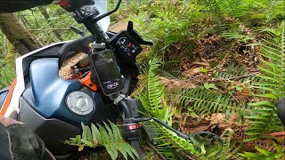 KTM 890 Adventure R 2023 goes on Single Track to play with Dirt bikes and crash.