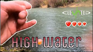 Winter Steelhead Fishing In High Water