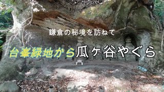 鎌倉そと道散歩 台峯緑地から瓜ヶ谷やぐら群