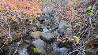 Extended Water Feature Sounds And Fall Scenery/2024 Eastern Sierra