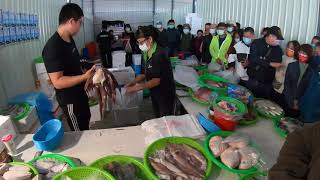 帥兒子賣累了 叫阿崧上來頂一下 他要去吃爌肉飯補充體力 中彰海王子 東興市場 海鮮叫賣 海鮮拍賣 叫賣哥