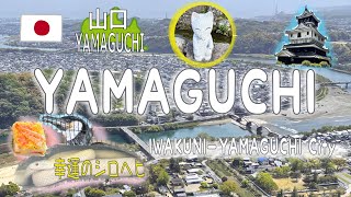 [Yamaguchi Travel 1] The third place to go to the world is more fun than expected!