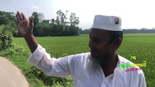 ছাতারপাইয়া বাজার থেকে কালারাইতা গ্রাম পযন্ত | কেশারপাড় ইউনিয়ন | সেনবাগ উপজেলা | নোয়াখালী #noakhali