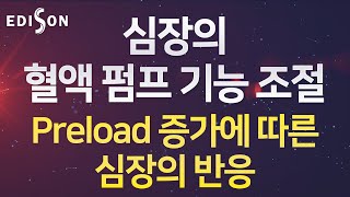 [EDISON 전산의학 순환기생리학] 심장의 혈액 펌프 기능 조절 : Preload 증가에 따른 심장의 반응