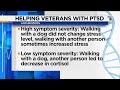 Helping Veterans with PTSD