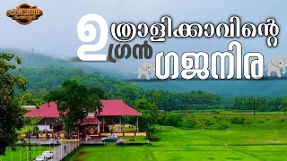 uthralikavu pooram 2025 | അണിനിരക്കുന്ന ഗജവീരന്മാർ🐘🐘🐘 #uthralikavu