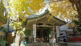 【Full HD】銀杏岡八幡神社のイチョウの紅葉