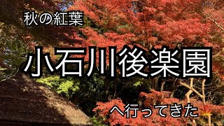 小石川後楽園の紅葉