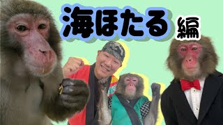 コンビ最年長！海ほたる編【戦豆の猿まわし】