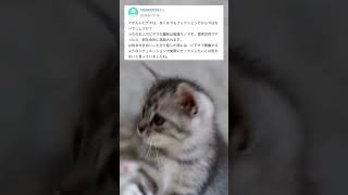 【Yahoo!知恵袋】旦那のAVの好みが自分と違いすぎる？！