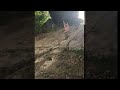 How Not to Jump Off of A Rope Swing || ViralHog