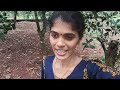 aseel kerala for sale aseel kerala aseel kasaragod porukozhikal 🐓 kozhi 🐓farm farm at home kasaragod