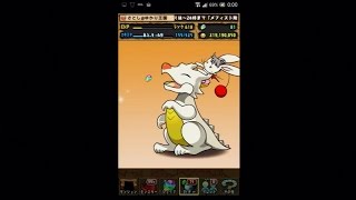 パズドラ【クリスタル・ディフェンダーズコラボ】コラボガチャ17連