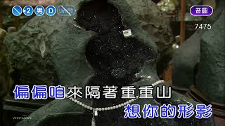 思鄉情歌~七郎~男D調~伴奏~音樂甲