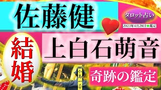 【たけもね】佐藤健(人気俳優)と上白石萌音の愛は本物なのか？2人の結婚生活の相性を【むすびじんに聴いてみた】タロットクリエイター☆小島一晏 2023年4月28日・鑑定