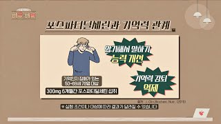 암기 능력 개선, 기억력 감퇴 억제! 치매 초기 증상을 줄이는 [포스파티딜세린] 오늘 하루는 베푸는 베프(bestfriend) 12회 | JTBC 220323 방송