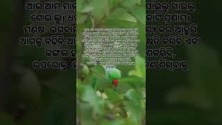 ସମସ୍ତ ମାୟା ମୋହ ମଧ୍ୟେ ଜୀବନ ର ବେଳାଭୂମି #poetry #odia #motivation #odiapoem #quotes ,#love