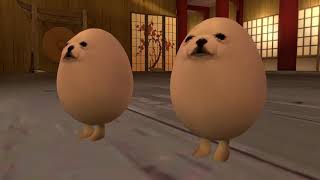 meet eggdog for 10 hours