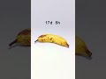 Time-Lapse Banana #timelapse