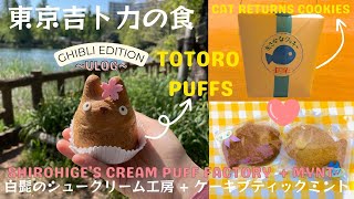 [吉卜力の食系列 ♡] 東京吉祥寺人氣龍貓泡芙Totoro Puffs + 私藏點猫の恩返し魚餅乾 The Cat Returns Fish Cookies ##ジブリ #vlog