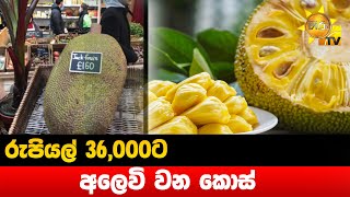 රුපියල් 36,000ට අලෙවි වන කොස් - Hiru News