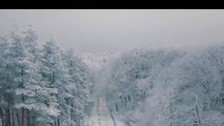 თიანეთი, საბადურის ტყე   Tianeti, Sabaduri Forest 4K