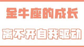 「陶白白」金牛座的成長離不開自我驅動