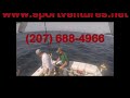 bluefin tuna fishing with sport ventures