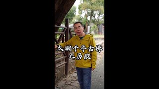 有一棵千年古樟树，历经三次磨难都化险为夷，你知道在哪吗？ #太湖 #带太湖万物生游太湖 #明月湾古村 #旅行文化 #苏州