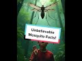 Did you know mosquitoes are the deadliest animals on Earth