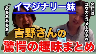 【仮想妹】吉野さんの全く理解できない趣味『イマジナリー妹』についてまとめました