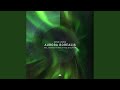 Aurora Borealis