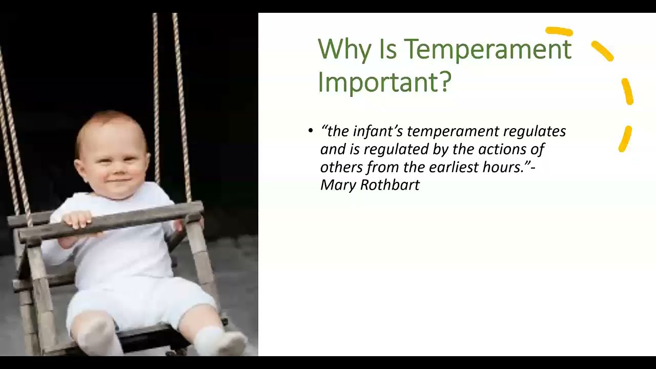 Temperament And Personality | Developmental Psychology - YouTube