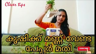 വെറും  ഒരാഴ്ച  മതി ഇലക്കൃഷി റെഡി | Microgreens Malayalam Video