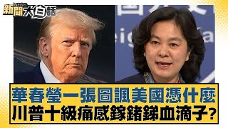 華春瑩一張圖諷美國憑什麼 川普十級痛感鎵鍺銻血滴子? 【新聞大白話】 20241205-6｜介文汲 楊永明 栗正傑