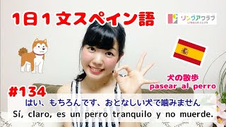 １日１文スペイン語 (#134) - もちろんです、おとなしい犬で噛みません - PASEAR AL PERRO（犬の散歩）