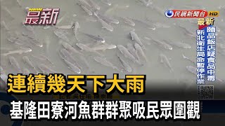 連續幾天下大雨 基隆田寮河魚群群聚吸民眾圍觀－民視新聞