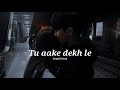 Tu aake dekh le~King (slowed+reverbed)