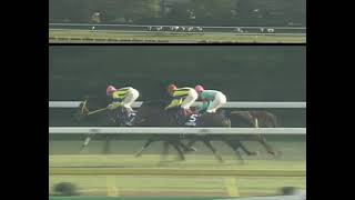 ライスシャワー 1993年 第108回天皇賞(秋)(GI) (優勝馬：ヤマニンゼファー)