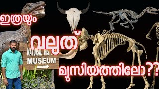 തിരുവനന്തപുരം നാച്ചുറൽ ഹിസ്റ്ററി മ്യൂസിയത്തിൽ ഒർജിനൽ ഡൈനോസറോ🦕🦖????😳😳