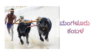 ಮಂಗಳೂರು ಕಂಬಳ|vlogs |Mangalore kambala #YouTube #vlogs