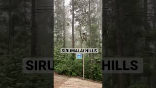 8508342414 DINDIGUL SIRUMALAI HILLS TOP LAND SALES CENT 3.50 land and 1.50 lak negotiable