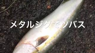 fishingma二色の浜10 28リアル