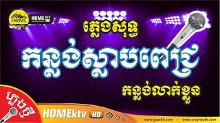 កន្លង់ស្លាបពេជ្រ | កន្លង់លាក់ខ្លួន ភ្លេងសុទ្ធ Cover ថ្មី