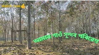 আমাৰ গাওঁ সূন্দৰ পৰিৱেশ 👍 new vlog